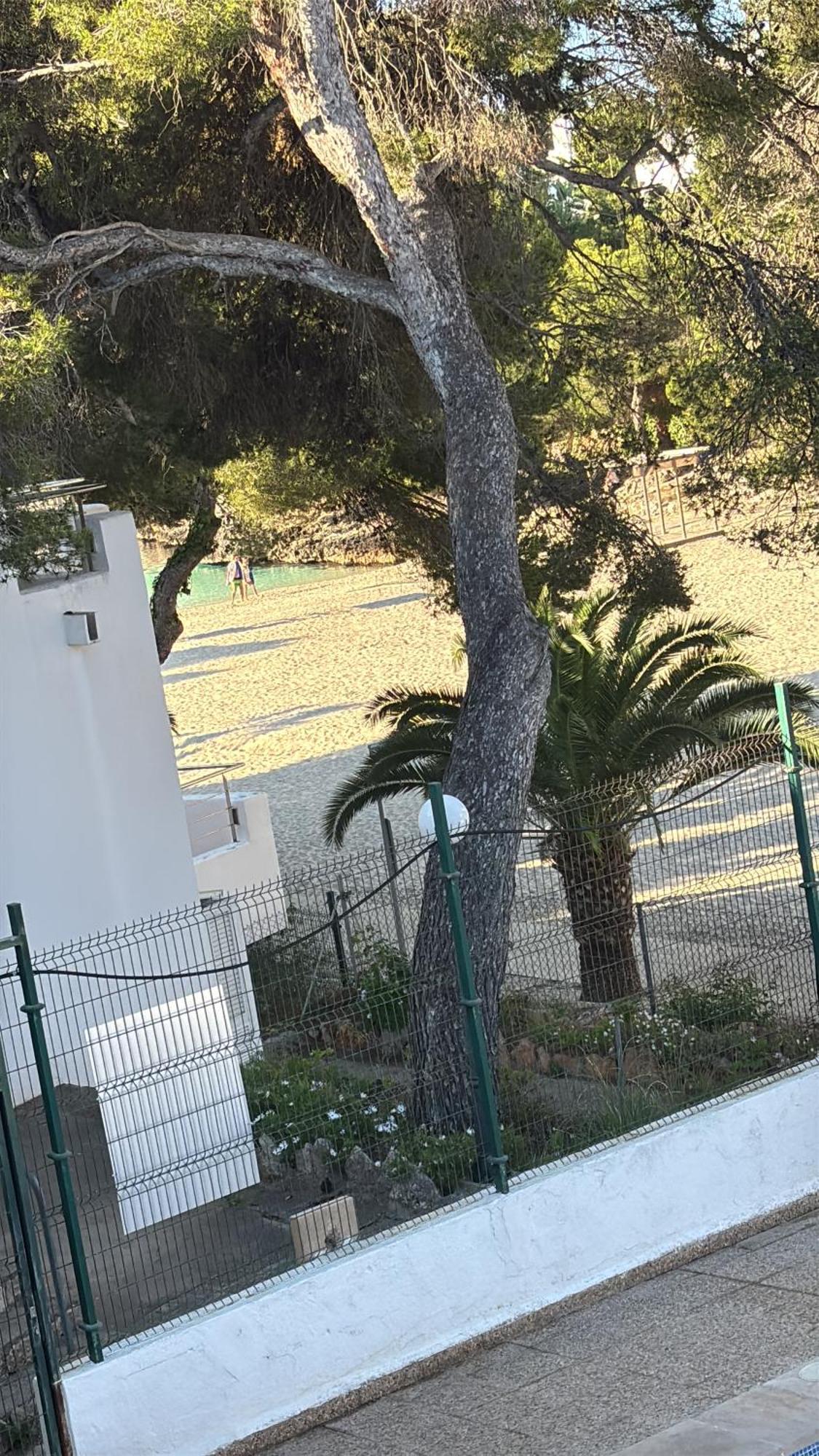 Playa Cala Dor